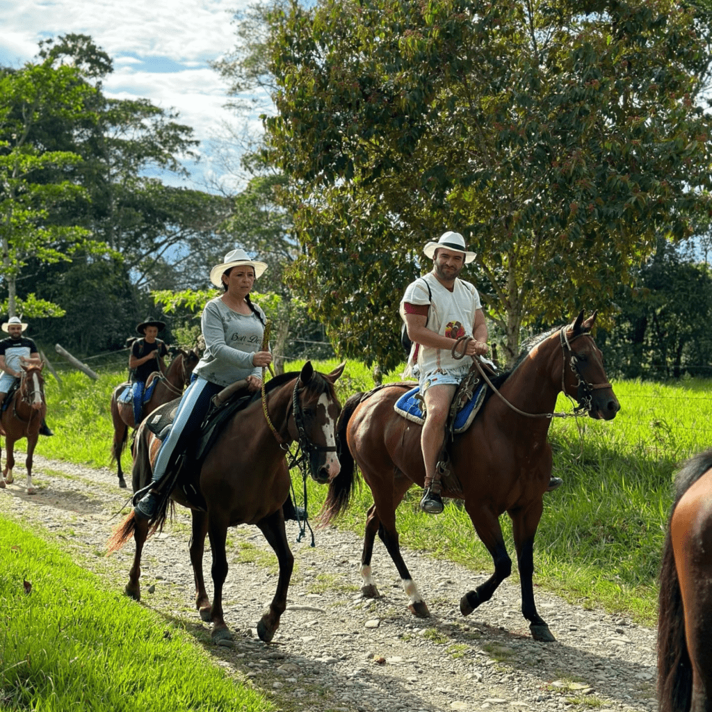 llano tours colombia